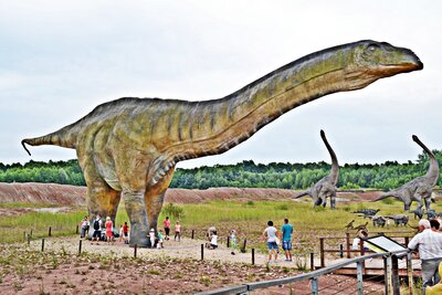 Przepiękne figury dinozaurów o naturalnych rozmiarach